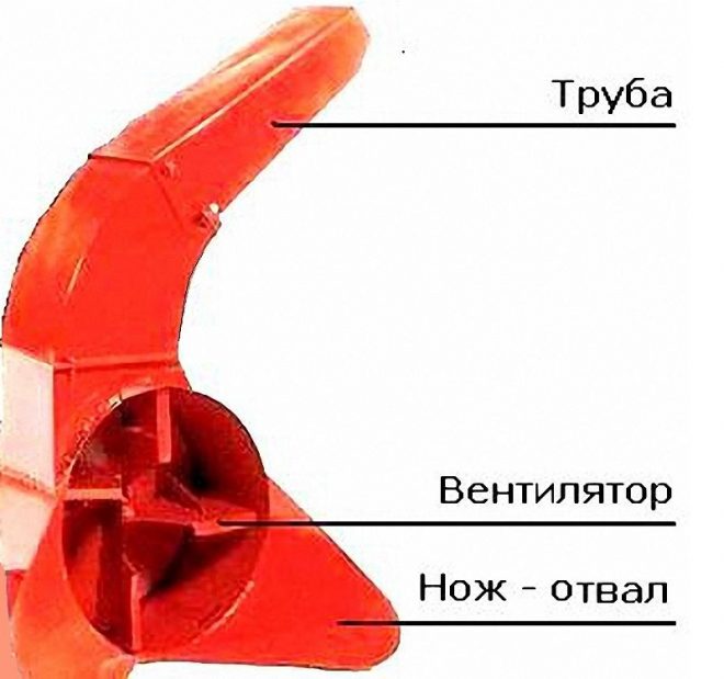 1549527817_5c5beb0741e94.jpg