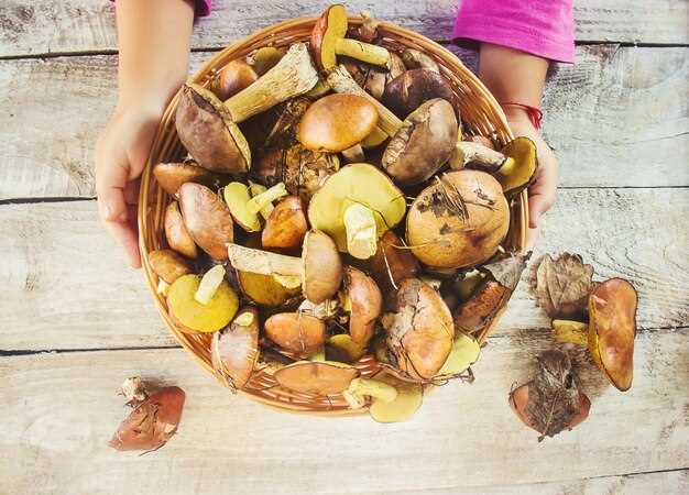 Бактофит СК