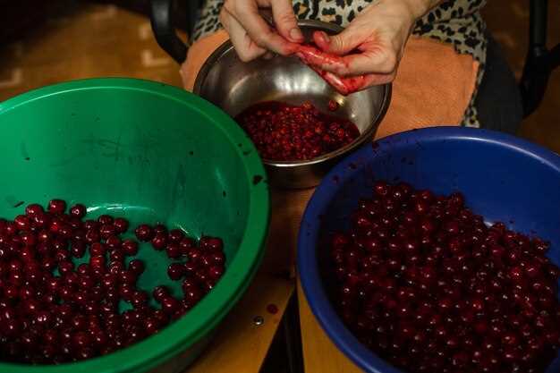 Развитие подушечницы весной 1 год