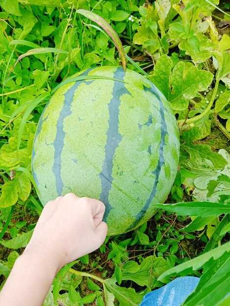 4. Устойчивость к неподходящим условиям