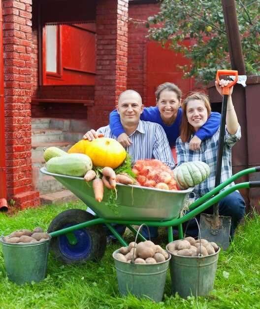 Где сажать лук многозачатковый