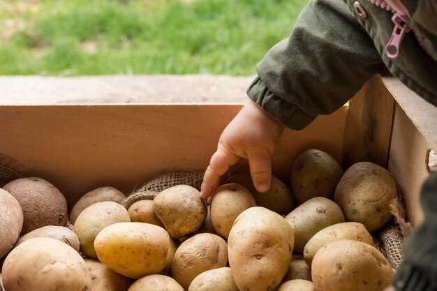 Профилактические мероприятия