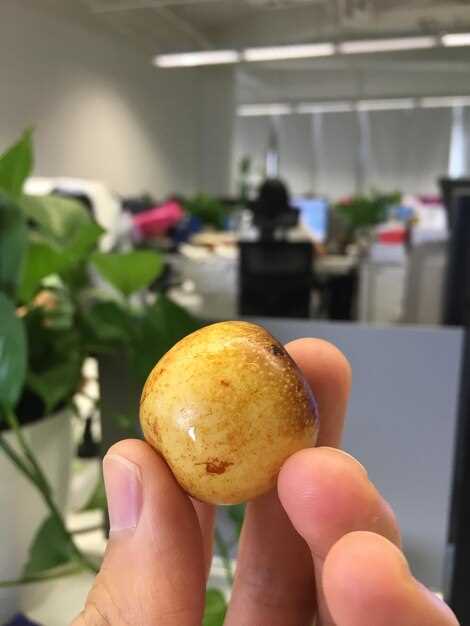 Какая бывает парша