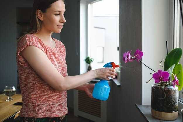 Признаки щитовки на орхидее