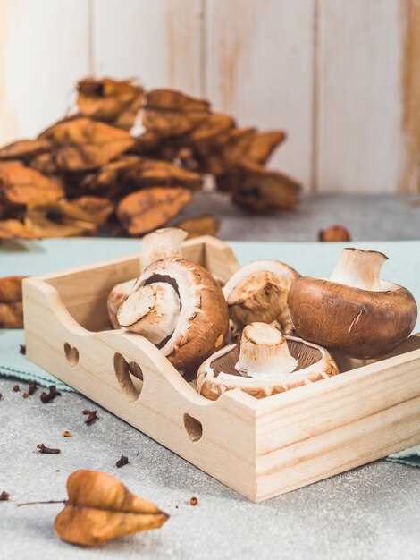 Срок хранения сушеных грибов без потери вкусовых и полезных качеств