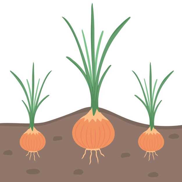 Уход за посадками